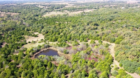 Woodland Grassland at Auction Recreational & Hunting, Carney - image 35
