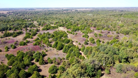 Woodland Grassland at Auction Recreational & Hunting, Carney - image 3