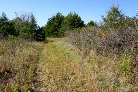 Woodland Grassland at Auction Recreational & Hunting, Carney - image 18