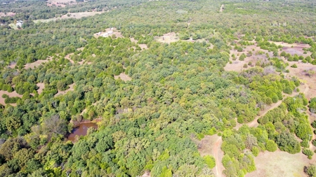 Woodland Grassland at Auction Recreational & Hunting, Carney - image 34