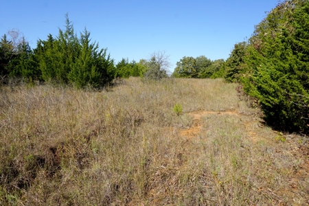 Woodland Grassland at Auction Recreational & Hunting, Carney - image 20