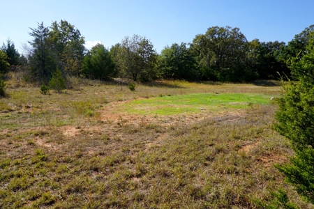 Woodland Grassland at Auction Recreational & Hunting, Carney - image 4