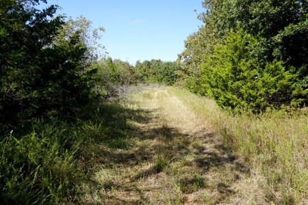 Woodland Grassland at Auction Recreational & Hunting, Carney - image 28