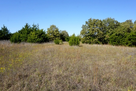 Woodland Grassland at Auction Recreational & Hunting, Carney - image 11
