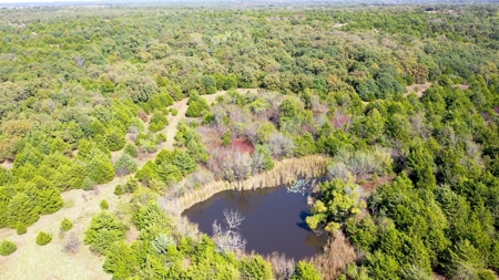 Woodland Grassland at Auction Recreational & Hunting, Carney - image 36