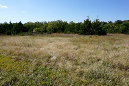 Woodland Grassland at Auction Recreational & Hunting, Carney - image 31