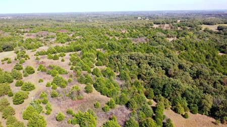 Woodland Grassland at Auction Recreational & Hunting, Carney - image 14