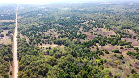 Woodland Grassland at Auction Recreational & Hunting, Carney - image 2