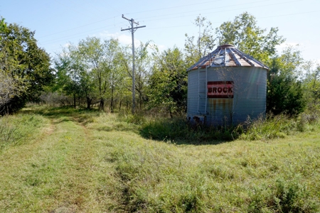 Woodland Grassland at Auction Recreational & Hunting, Carney - image 8