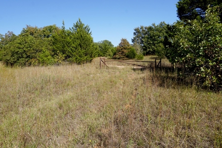Woodland Grassland at Auction Recreational & Hunting, Carney - image 19