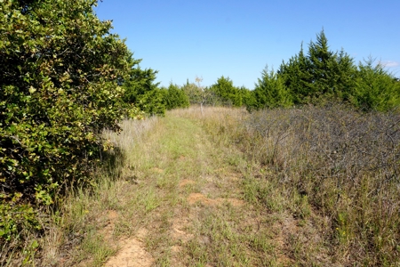 Woodland Grassland at Auction Recreational & Hunting, Carney - image 17