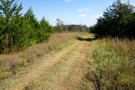 Woodland Grassland at Auction Recreational & Hunting, Carney - image 6