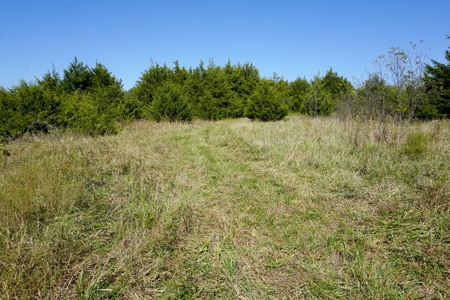 Woodland Grassland at Auction Recreational & Hunting, Carney - image 30