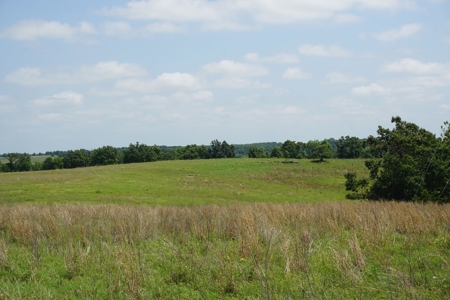 124 Ac+/- Osage County Grassland Ranch, No Res Auction - image 15