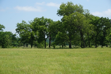 124 Ac+/- Osage County Grassland Ranch, No Res Auction - image 3