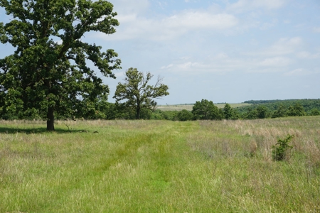 124 Ac+/- Osage County Grassland Ranch, No Res Auction - image 16