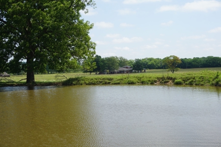 124 Ac+/- Osage County Grassland Ranch, No Res Auction - image 11