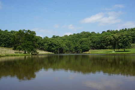 124 Ac+/- Osage County Grassland Ranch, No Res Auction - image 5
