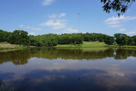 124 Ac+/- Osage County Grassland Ranch, No Res Auction - image 4