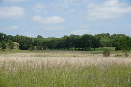 124 Ac+/- Osage County Grassland Ranch, No Res Auction - image 10