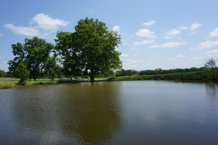 124 Ac+/- Osage County Grassland Ranch, No Res Auction - image 12