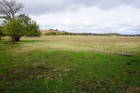 40 Ac+/- Hay Meadow, Homesite, No Reserve Auction Sun Dec 12 - image 5