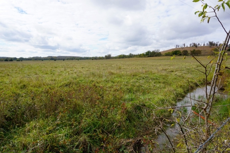 40 Ac+/- Hay Meadow, Homesite, No Reserve Auction Sun Dec 12 - image 4