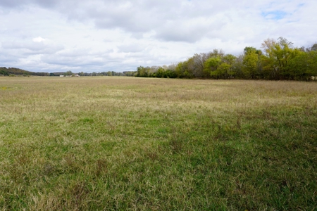 40 Ac+/- Hay Meadow, Homesite, No Reserve Auction Sun Dec 12 - image 1