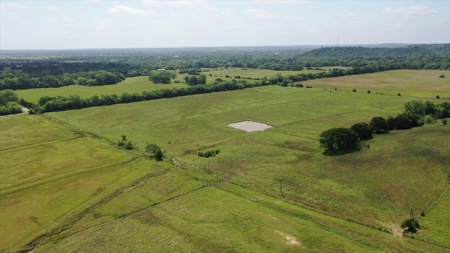 40 Ac+/- Hay Meadow, Homesite, No Reserve Auction Sun Dec 12 - image 7