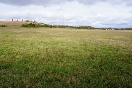 40 Ac+/- Hay Meadow, Homesite, No Reserve Auction Sun Dec 12 - image 3
