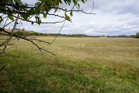 40 Ac+/- Hay Meadow, Homesite, No Reserve Auction Sun Dec 12 - image 6