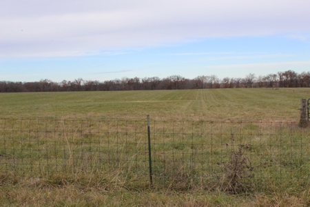 Missouri Land Auction - Fox Run Farms Tract 1 - image 4