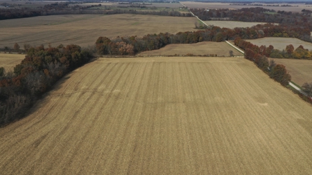 Missouri Land Auction - Fox Run Farms Tract 4 - image 3