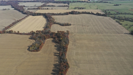 Missouri Land Auction - Fox Run Farms Tract 4 - image 7
