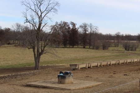 Missouri Land Auction - Fox Run Farms Tract 5 - image 11
