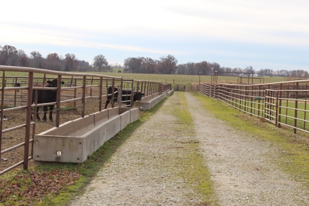 Missouri Land Auction - Fox Run Farms Tract 6 - image 25