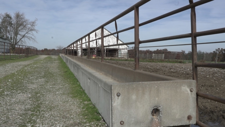 Missouri Land Auction - Fox Run Farms Tract 6 - image 7