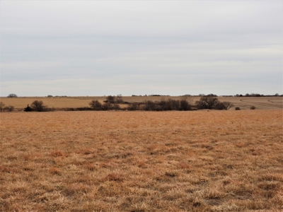 Gosper County Nebraska  Farmland And Hunting Farm  Auction - image 7