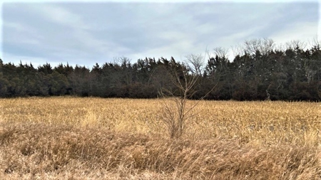 Gosper County Nebraska  Farmland And Hunting Farm  Auction - image 18