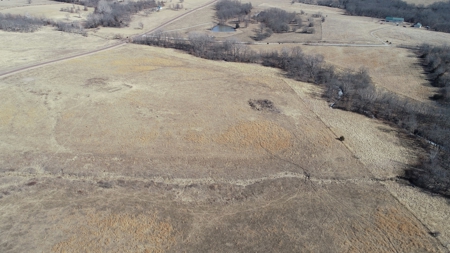 Daviess County Land Auction – Tract 1 Quality Open Pasture - image 3