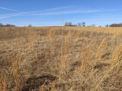 Daviess County Land Auction – Tract 1 Quality Open Pasture - image 6