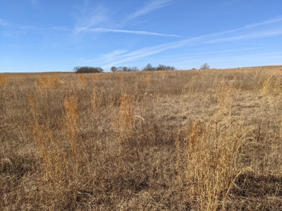 Daviess County Land Auction – Tract 1 Quality Open Pasture - image 7