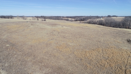 Daviess County Land Auction – Tract 1 Quality Open Pasture - image 16