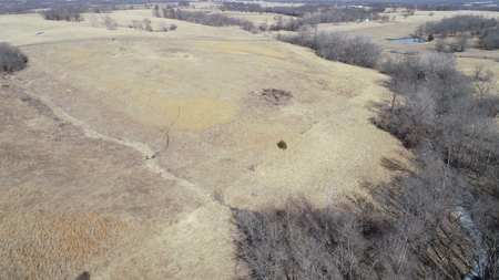 Daviess County Land Auction – Tract 1 Quality Open Pasture - image 17