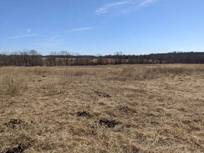 Daviess County Land Auction – Tract 1 Quality Open Pasture - image 5