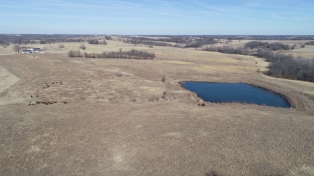 Daviess County Land Auction – Tract 2 Big Pond, Build Site - image 19
