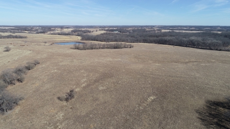 Daviess County Land Auction – Tract 2 Big Pond, Build Site - image 17
