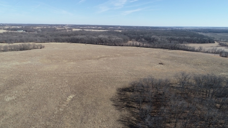 Daviess County Land Auction – Tract 2 Big Pond, Build Site - image 16
