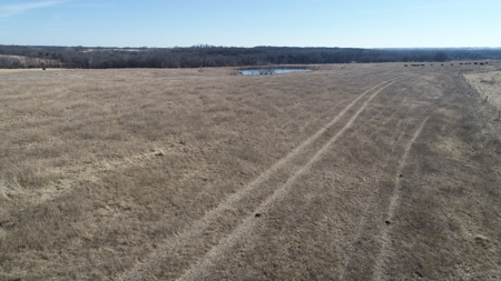Daviess County Land Auction – Tract 2 Big Pond, Build Site - image 4