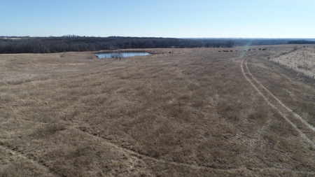 Daviess County Land Auction – Tract 2 Big Pond, Build Site - image 5